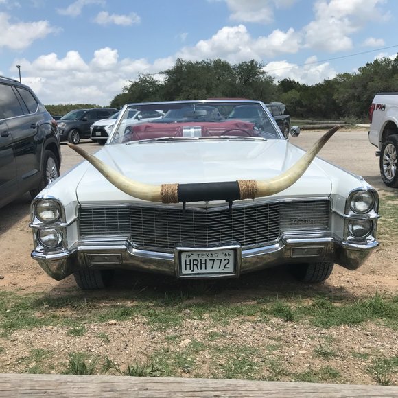 Howdy! KEEP SCROLLING! - Picture 8 of 11